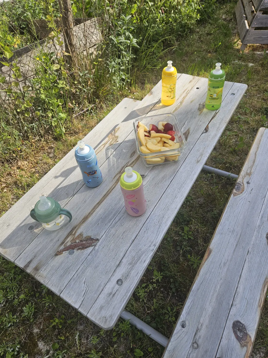 Kindertagespflege Nadine Da Silva